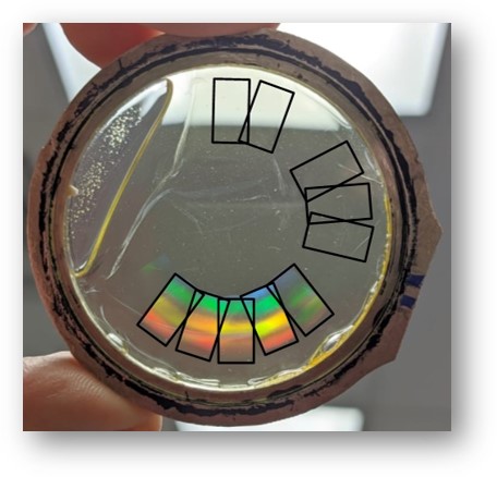 Holograms on PQ:PMMA